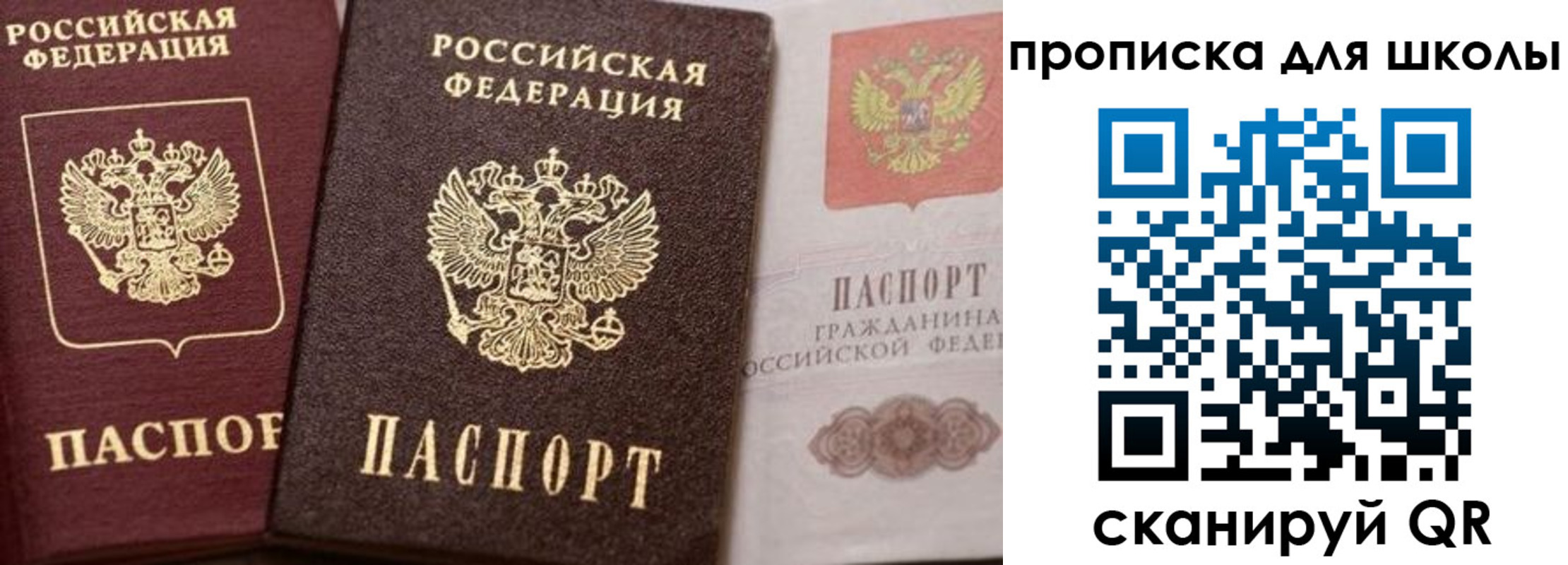 прописка законно в Поворино